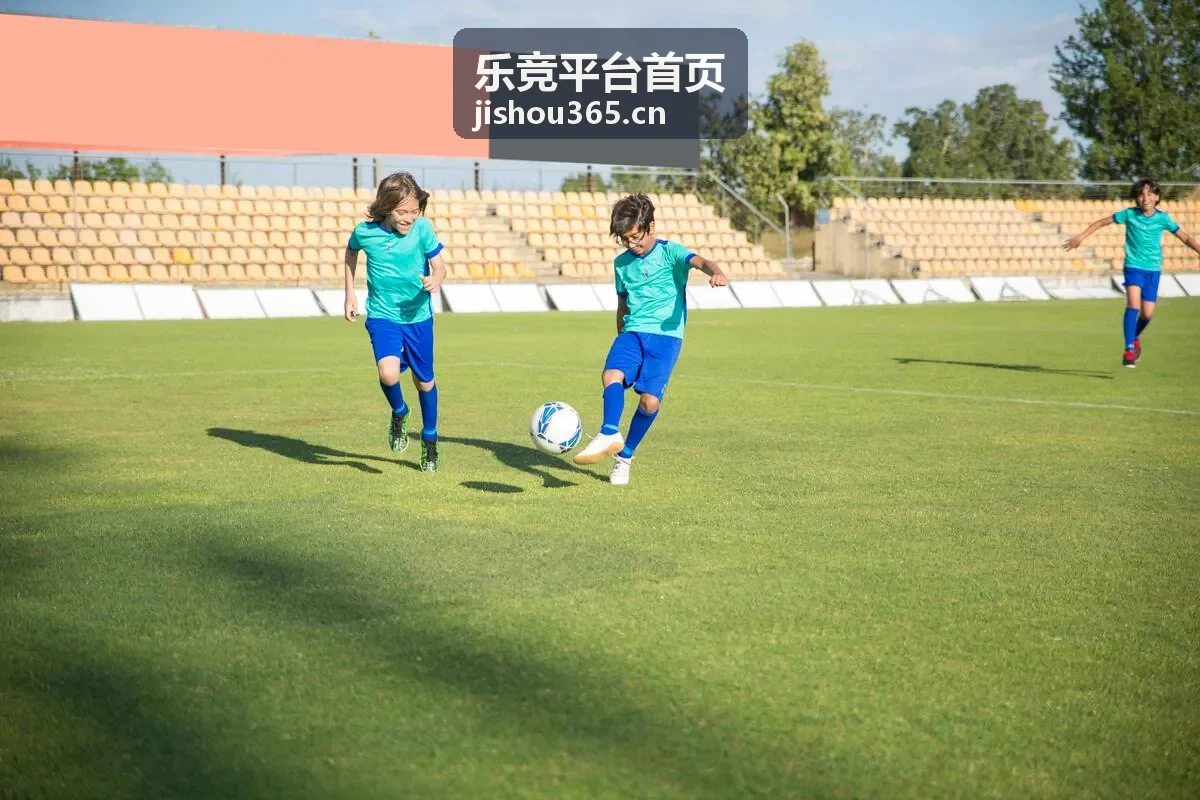 乐竞平台战队数据面板图示