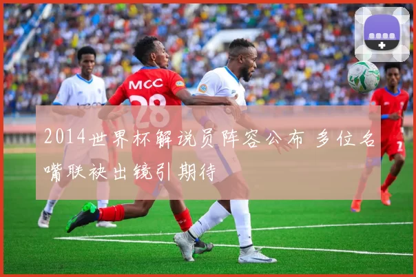 2014世界杯解说员阵容公布 多位名嘴联袂出镜引期待