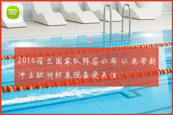 2016荷兰国家队阵容公布 以老带新冲击欧洲杯表现备受关注