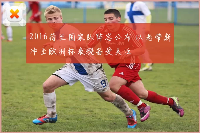 2016荷兰国家队阵容公布 以老带新冲击欧洲杯表现备受关注