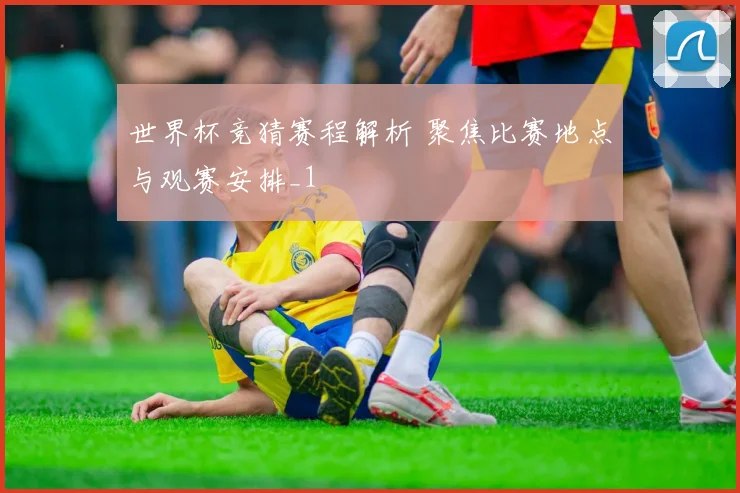 世界杯竞猜赛程解析 聚焦比赛地点与观赛安排_1
